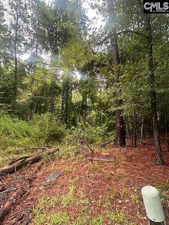 0.29 Acres of Residential Land for Sale in Lexington, South Carolina