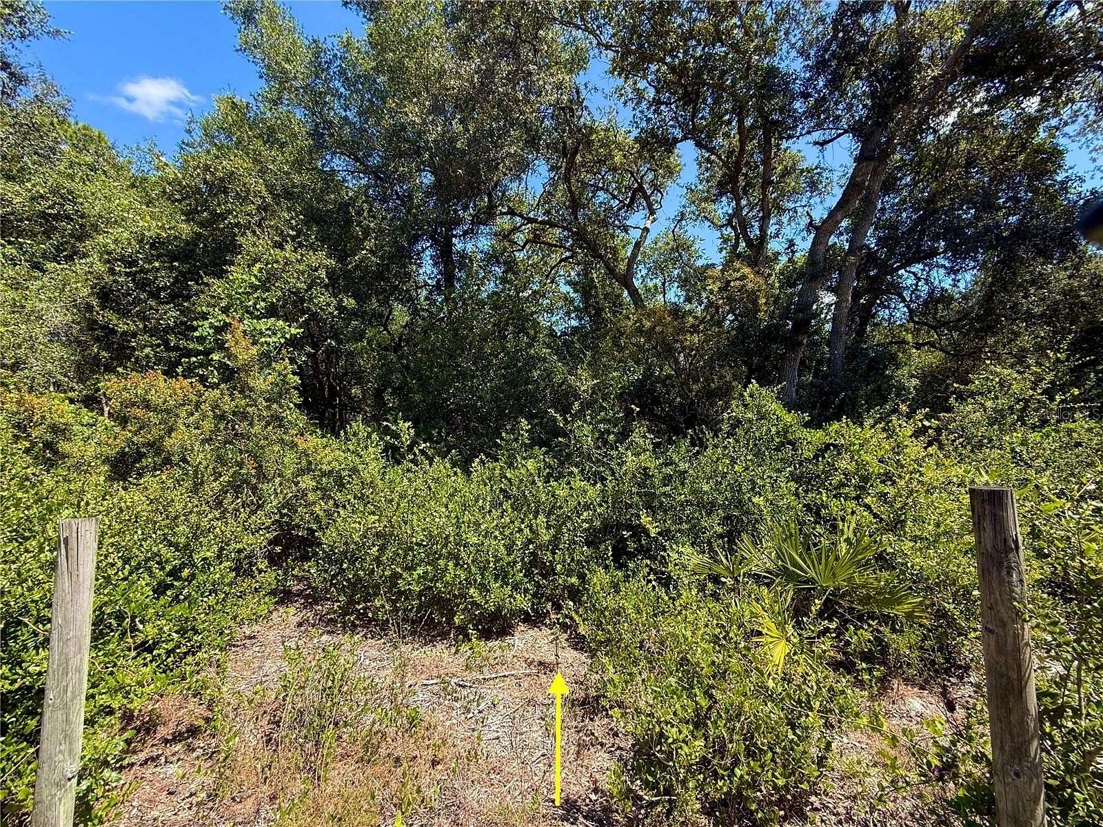 0.48 Acres of Residential Land for Sale in Eustis, Florida