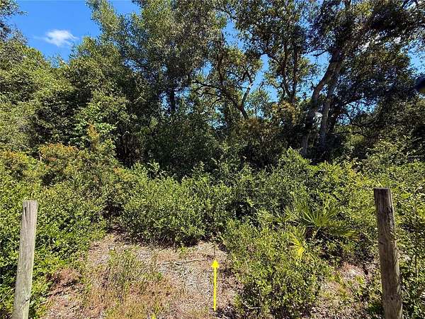 0.48 Acres of Residential Land for Sale in Eustis, Florida