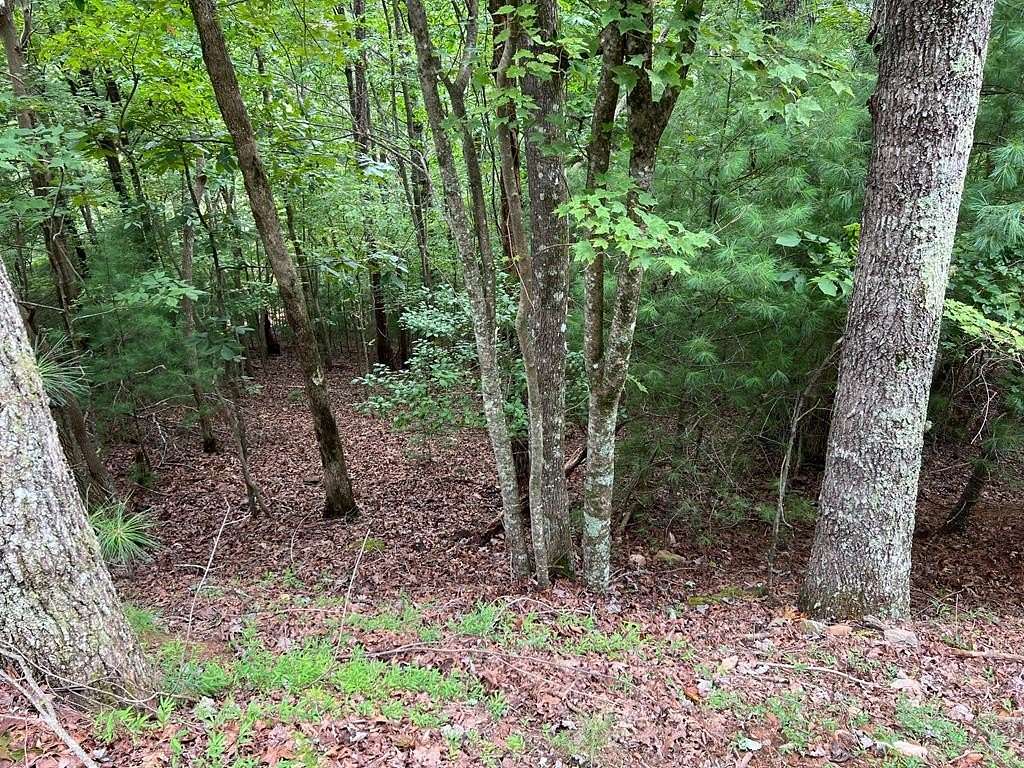 0.4 Acres of Land for Sale in Ellijay, Georgia