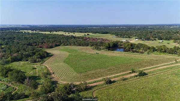 53.7 Acres of Recreational Land & Farm for Sale in Calvert, Texas