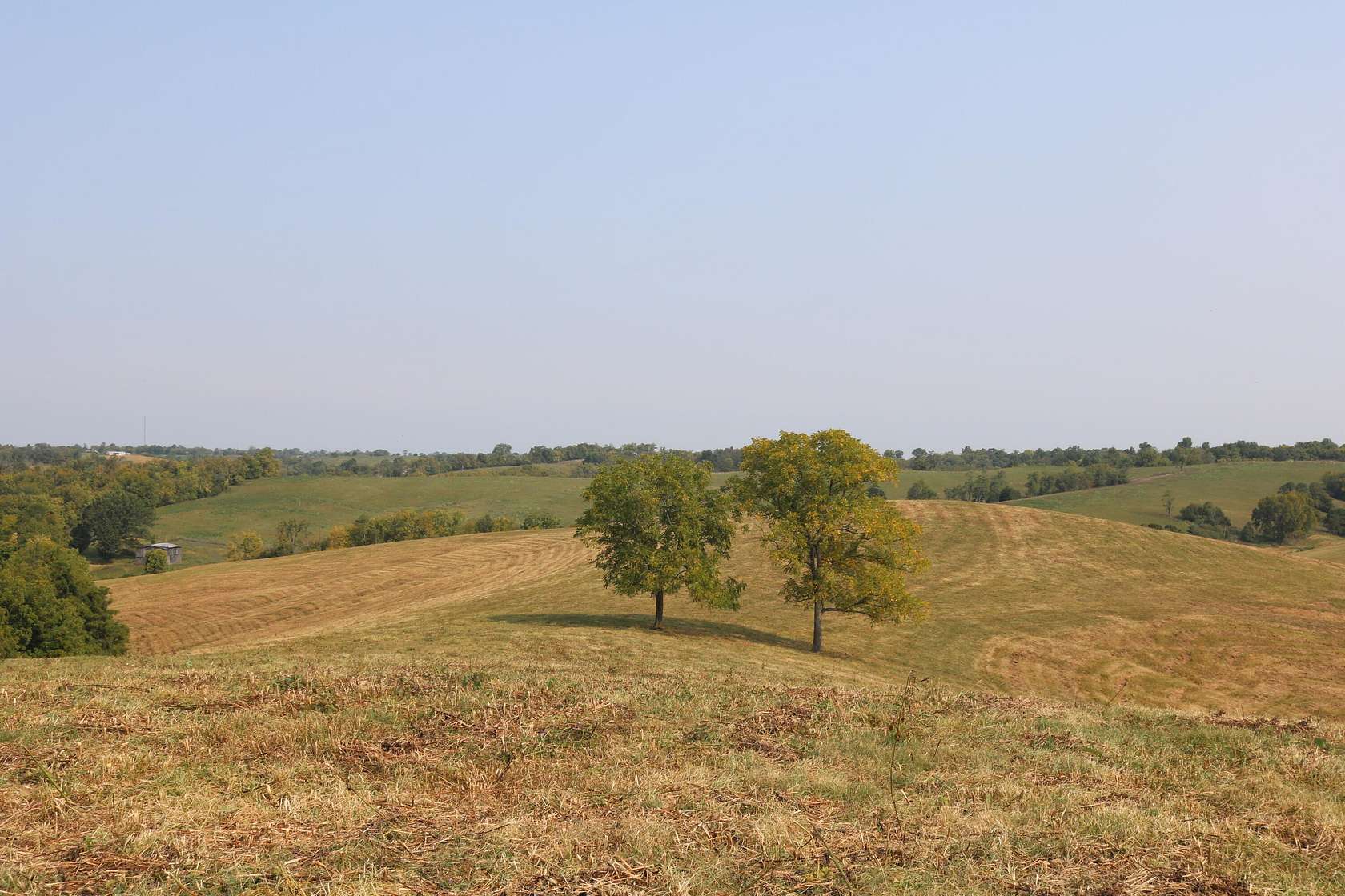 51.5 Acres of Agricultural Land for Sale in Carlisle, Kentucky