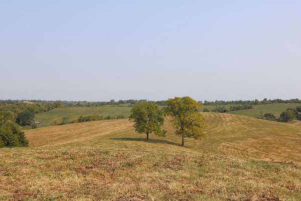 51.5 Acres of Agricultural Land for Sale in Carlisle, Kentucky