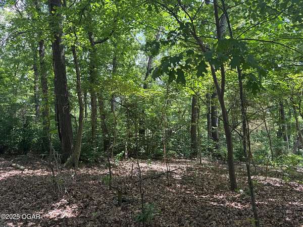 3 Acres of Land for Sale in Cassville, Missouri