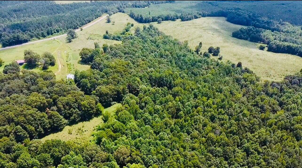 80 Acres of Agricultural Land with Home for Sale in Brilliant, Alabama