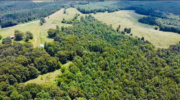 80 Acres of Agricultural Land with Home for Sale in Brilliant, Alabama