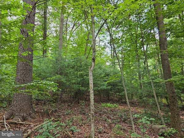 57.6 Acres of Land with Home for Auction in Halifax, Pennsylvania