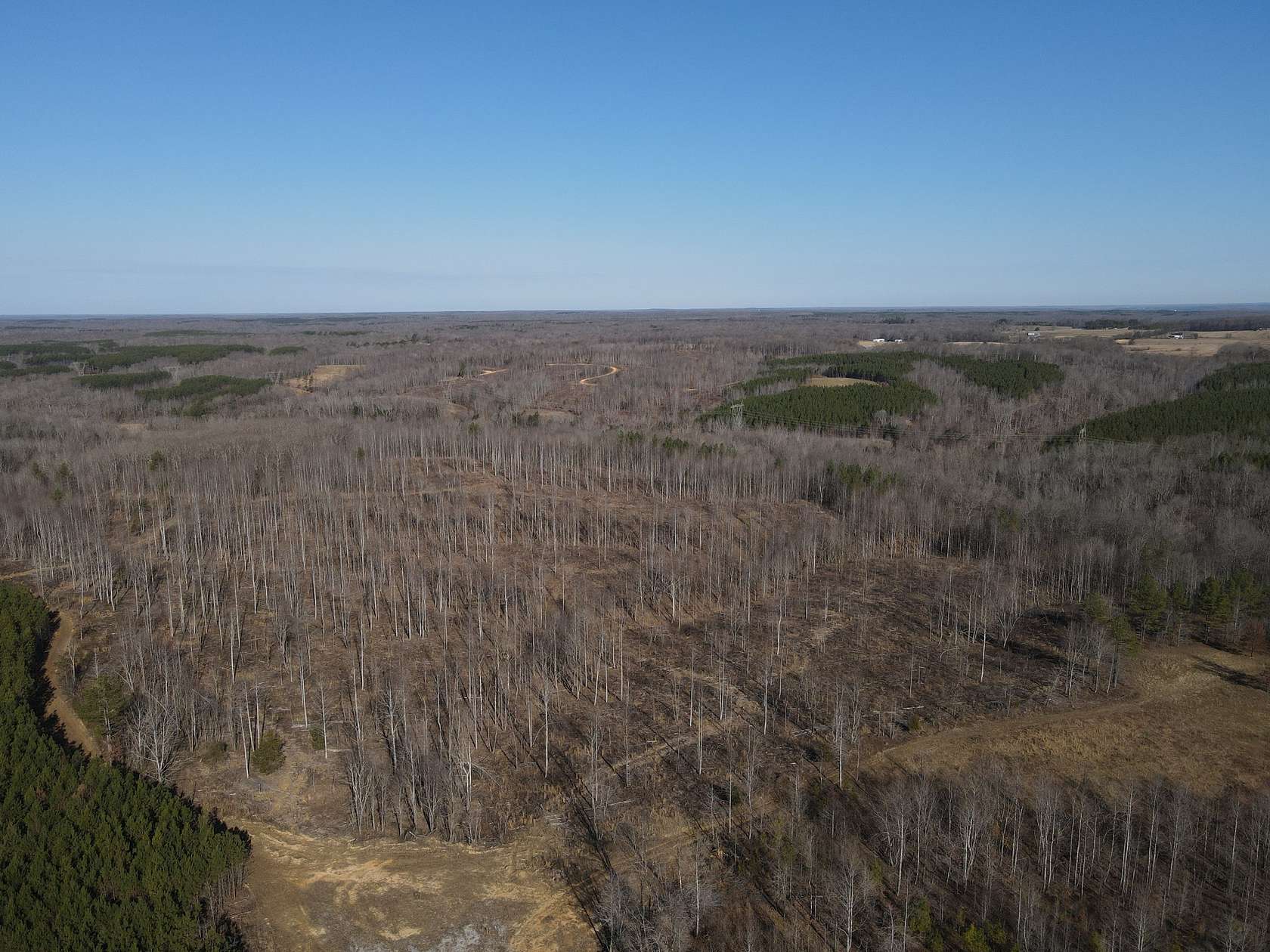 33 Acres of Recreational Land for Sale in Stewart, Tennessee