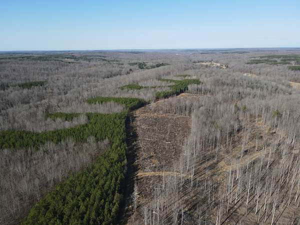 67 Acres of Recreational Land for Sale in Stewart, Tennessee