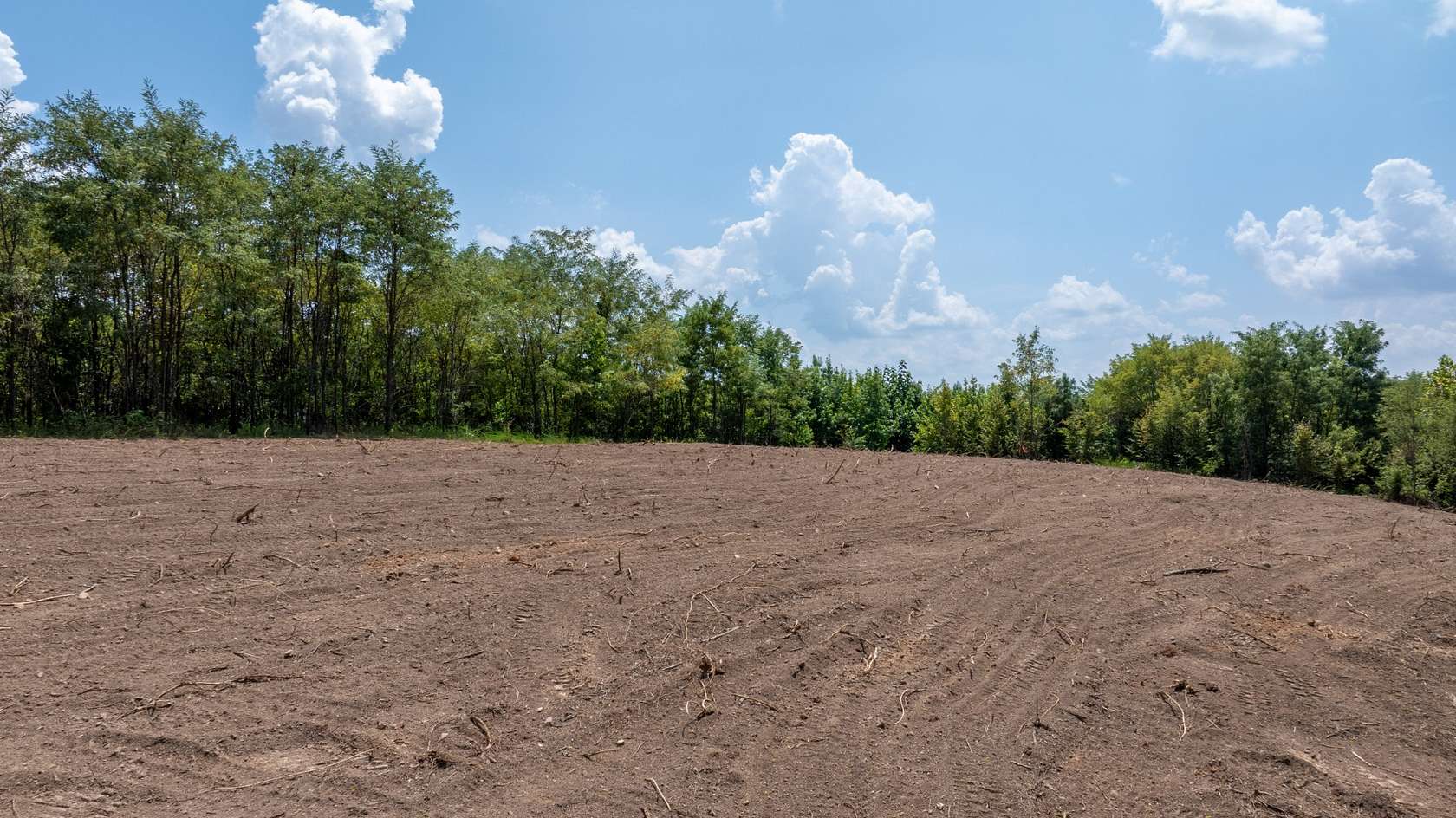 141 Acres of Land for Sale in Linden, Tennessee