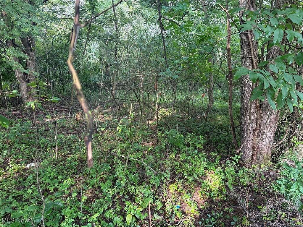0.6 Acres of Residential Land for Sale in Malvern, Ohio