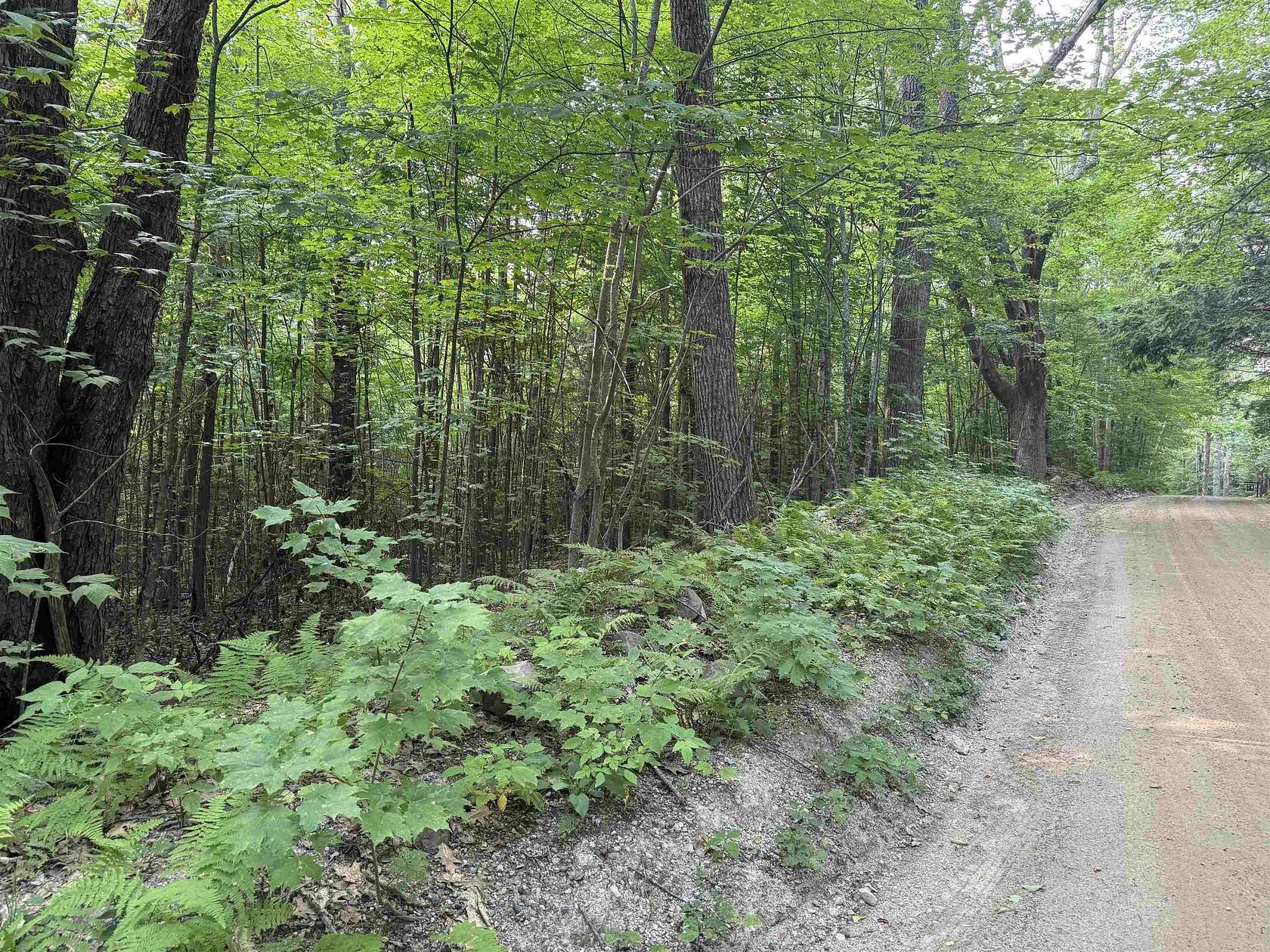 5.69 Acres of Residential Land for Sale in Ossipee, New Hampshire