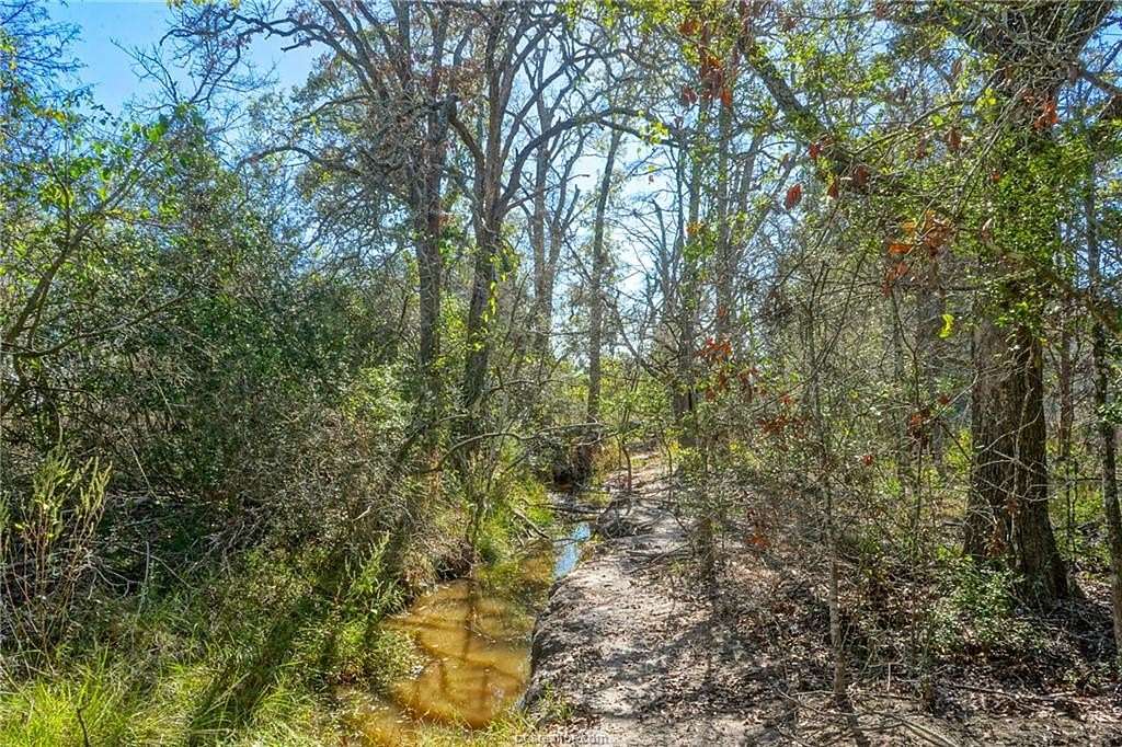2.89 Acres of Residential Land for Sale in Bedias, Texas