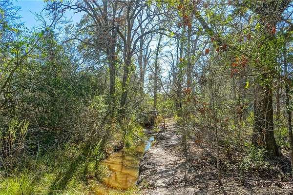 2.89 Acres of Residential Land for Sale in Bedias, Texas