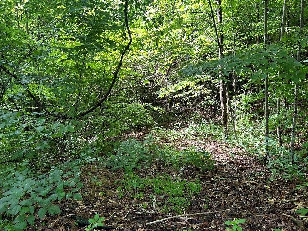 2.13 Acres of Land for Sale in Whittier, North Carolina