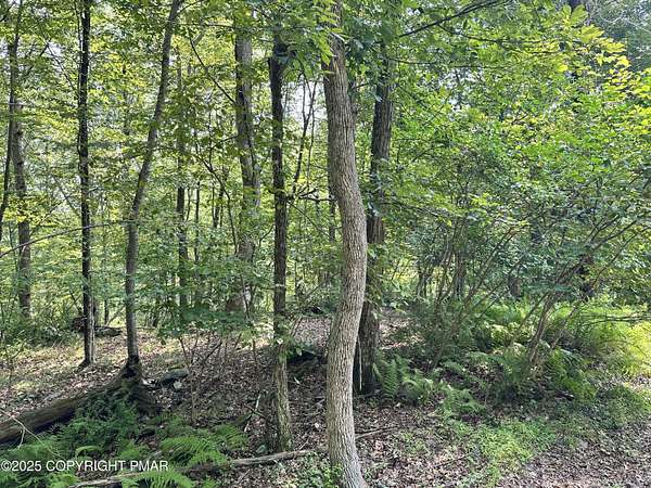 0.69 Acres of Residential Land for Sale in Henryville, Pennsylvania