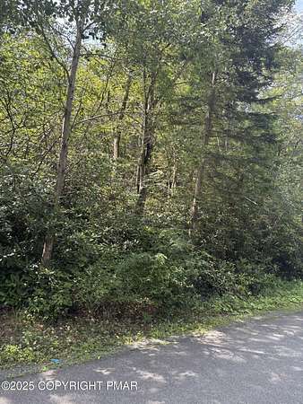 0.49 Acres of Residential Land for Sale in Pocono Pines, Pennsylvania