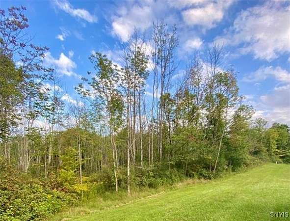 3.1 Acres of Land for Sale in Deerfield, New York