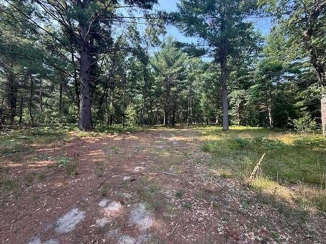 9.7 Acres of Land for Sale in Baldwin, Michigan