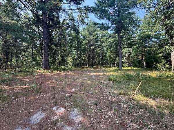 9.7 Acres of Land for Sale in Baldwin, Michigan