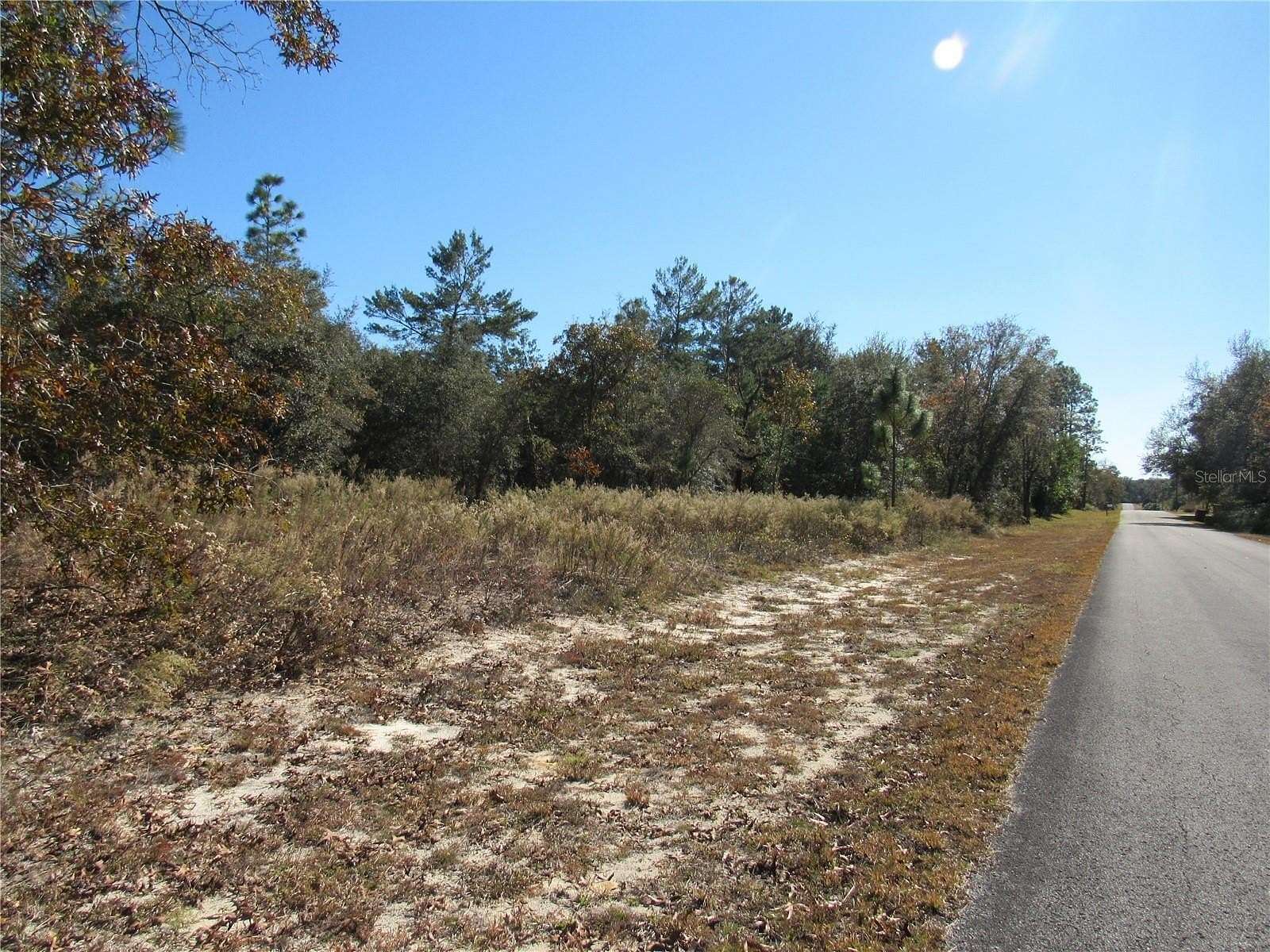 0.99 Acres of Residential Land for Sale in Dunnellon, Florida