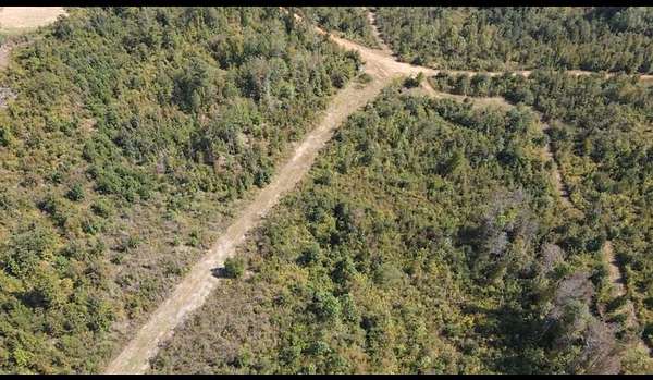 175 Acres of Recreational & Residential Land for Sale in Toomsboro, Georgia