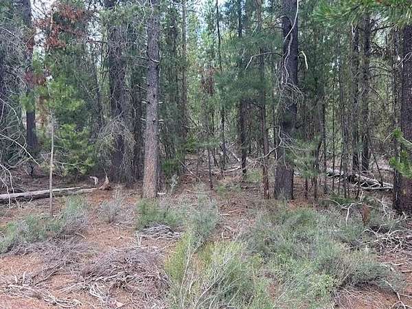 1.74 Acres of Land for Sale in Crescent Lake, Oregon
