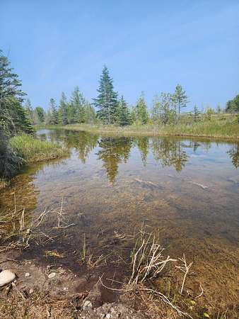 0.7 Acres of Land for Sale in Alpena, Michigan