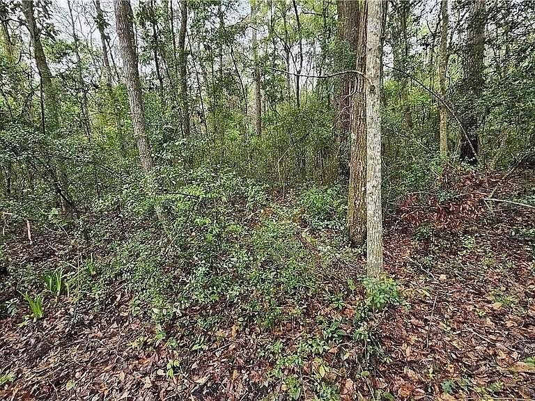 1.17 Acres of Residential Land for Sale in Waverly, Georgia
