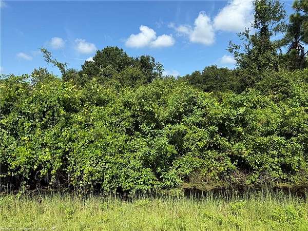 0.24 Acres of Residential Land for Sale in Lake Placid, Florida