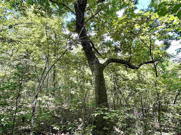 2 Acres of Residential Land for Sale in Mountain Home, Arkansas