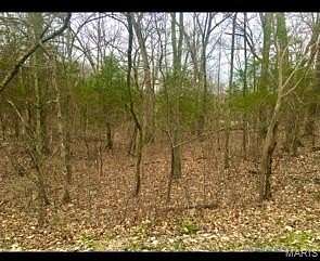 0.25 Acres of Residential Land for Sale in Hillsboro, Missouri