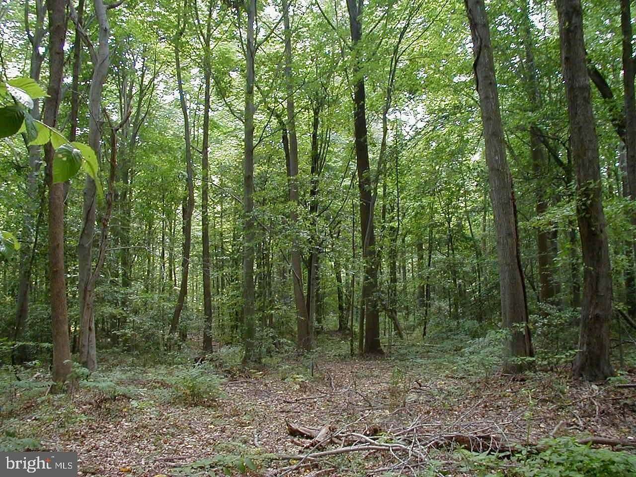 3 Acres of Residential Land for Sale in Accokeek, Maryland
