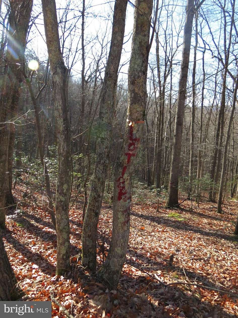 3.38 Acres of Land for Sale in Mathias, West Virginia