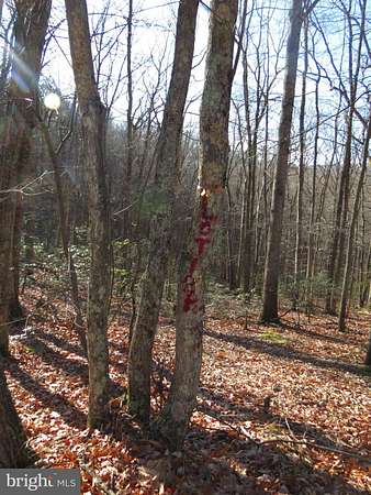 3.38 Acres of Land for Sale in Mathias, West Virginia