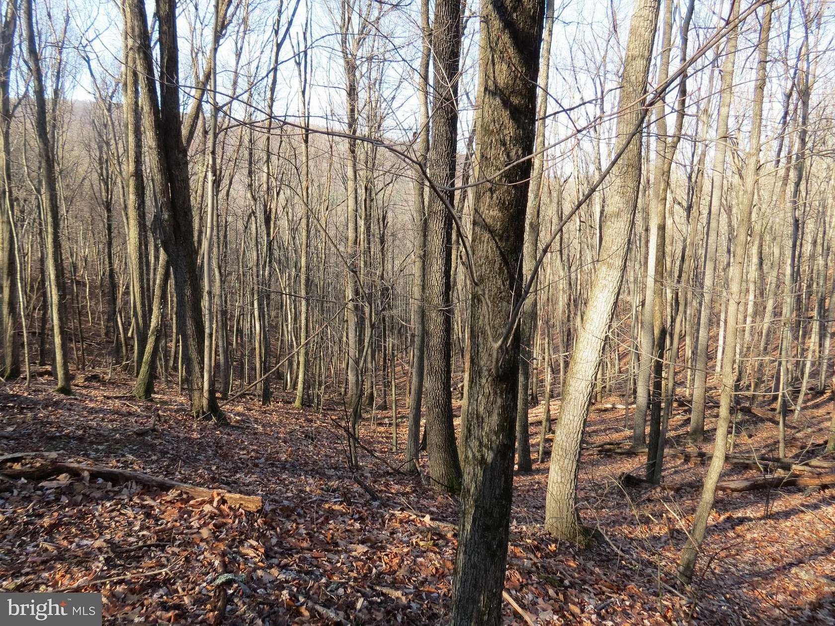 3 Acres of Residential Land for Sale in Mathias, West Virginia