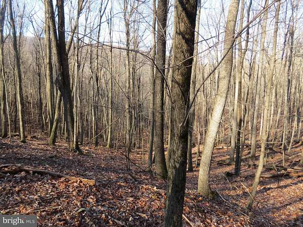 3 Acres of Residential Land for Sale in Mathias, West Virginia