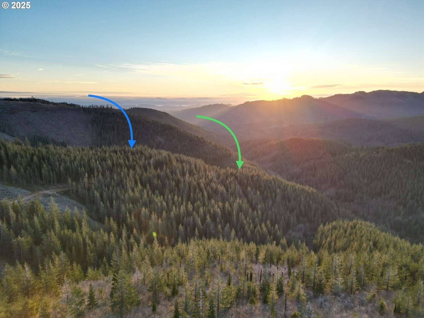 20 Acres of Land for Sale in Washougal, Washington