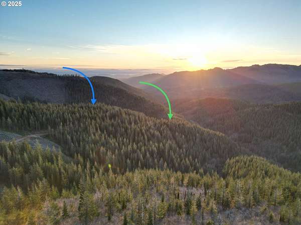 20 Acres of Land for Sale in Washougal, Washington