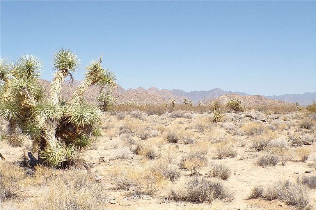 2.35 Acres of Land for Sale in Yucca, Arizona