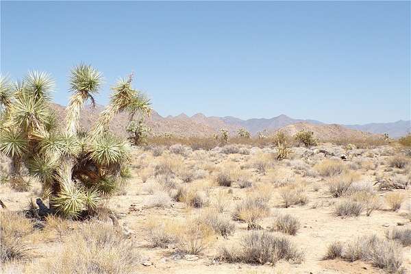 2.35 Acres of Land for Sale in Yucca, Arizona