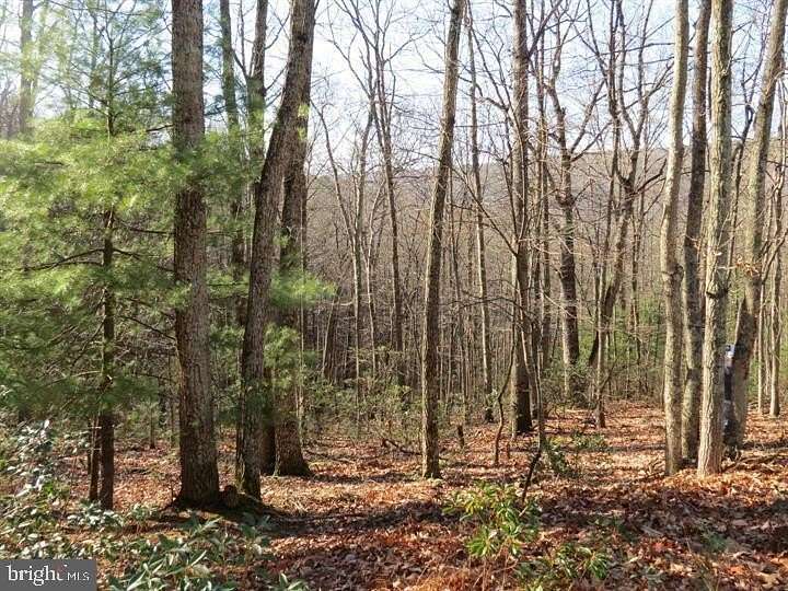6.3 Acres of Land for Sale in Mathias, West Virginia