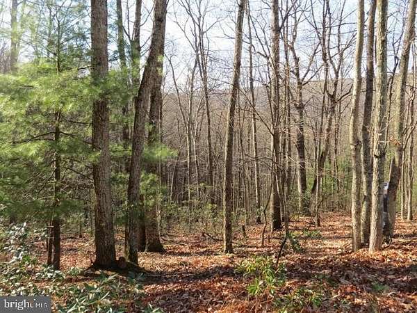 6.3 Acres of Land for Sale in Mathias, West Virginia
