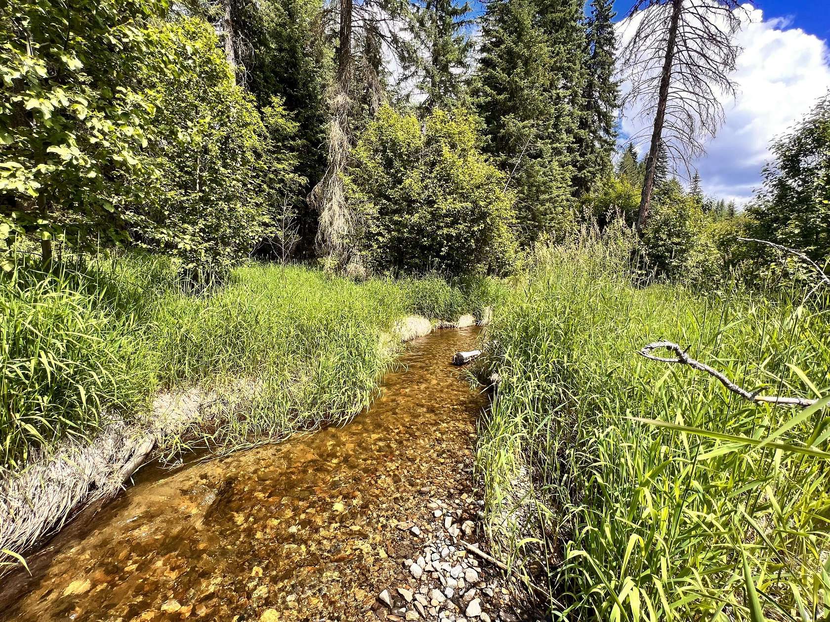 10 Acres of Recreational Land for Sale in Republic, Washington