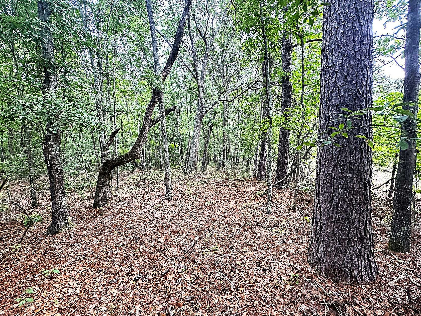7 Acres of Recreational Land for Sale in St. George, South Carolina
