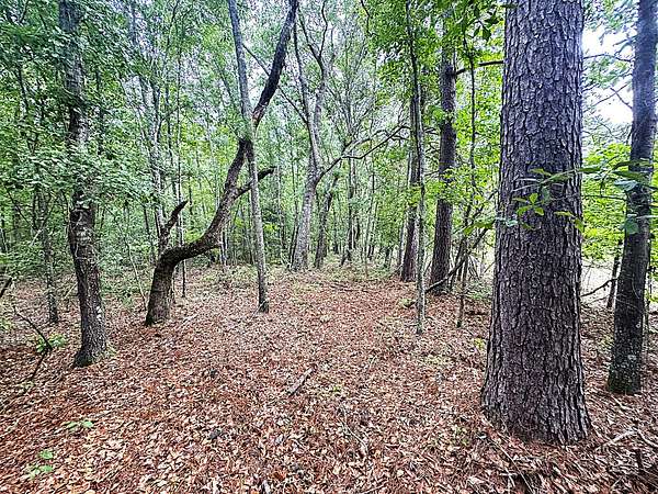 7 Acres of Recreational Land for Sale in St. George, South Carolina