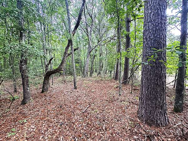 7 Acres of Recreational Land for Sale in St. George, South Carolina