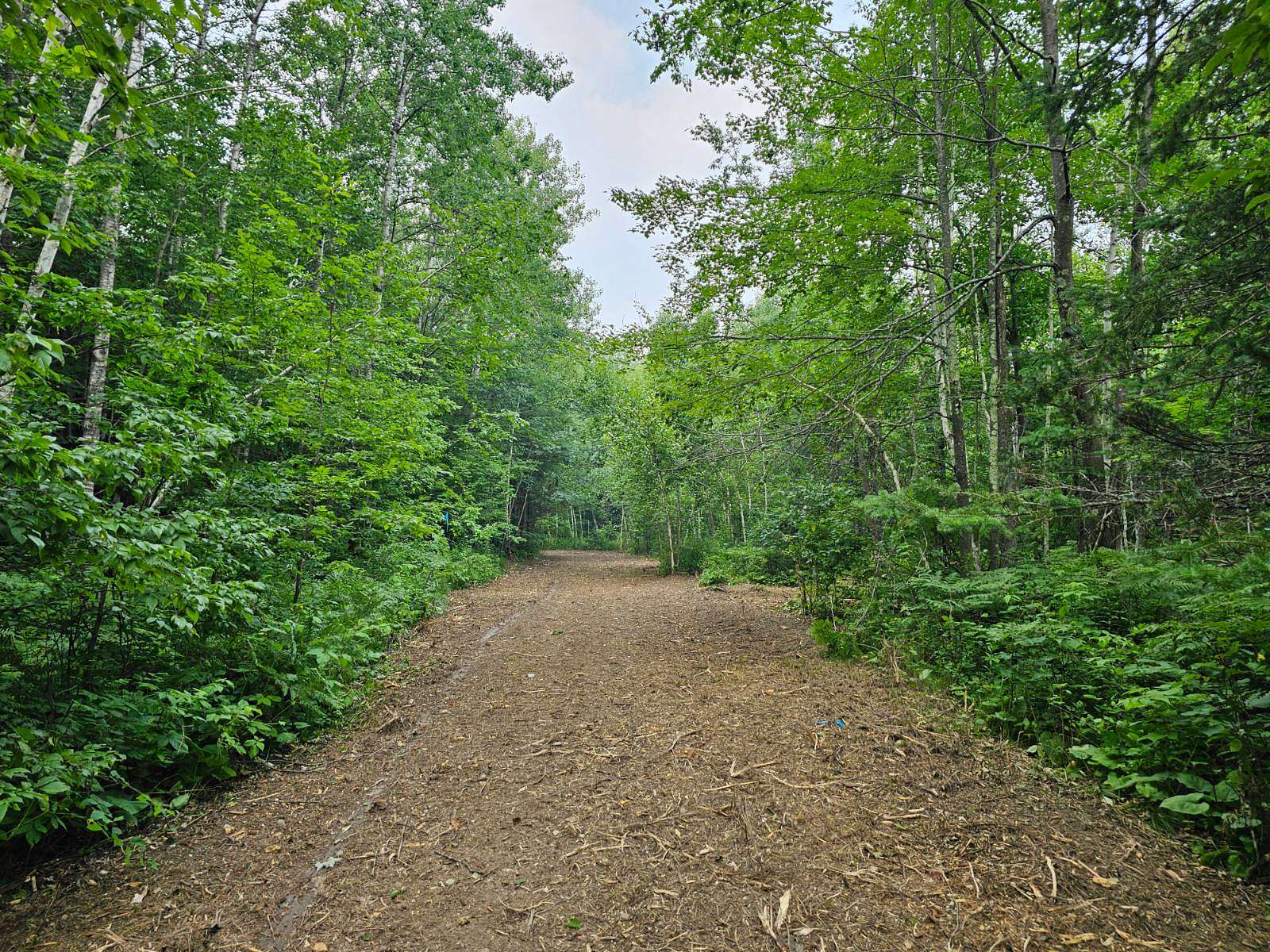 6 Acres of Recreational Land for Sale in Birchwood, Wisconsin