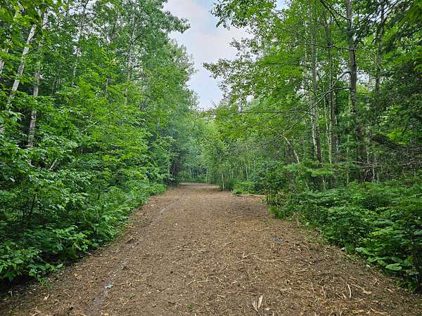 6 Acres of Recreational Land for Sale in Birchwood, Wisconsin