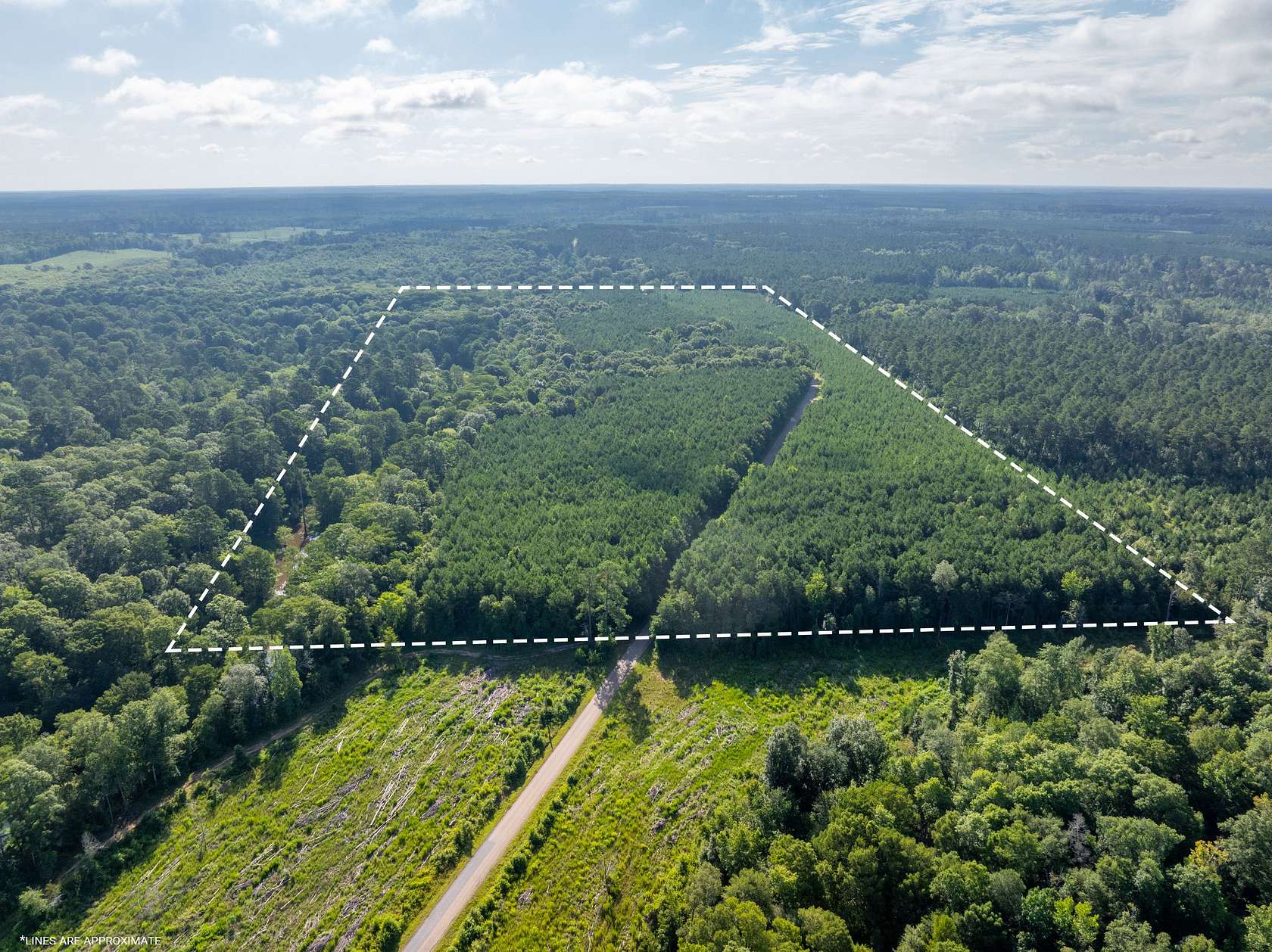 80 Acres of Recreational Land & Farm for Sale in Spearsville, Louisiana